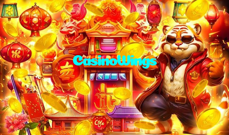 making first deposit on CasinoWings website using local payment methods in Pakistan